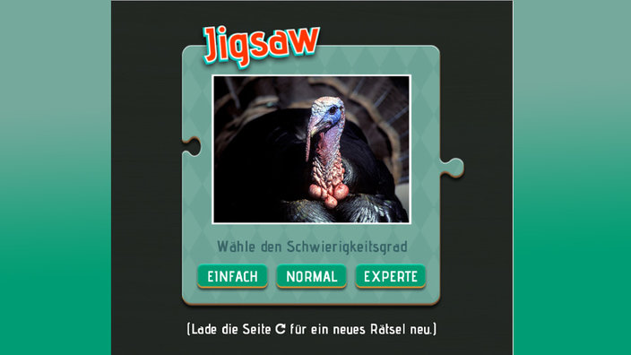 Jigsaw - Screenshot 5