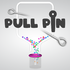 Pull Pin